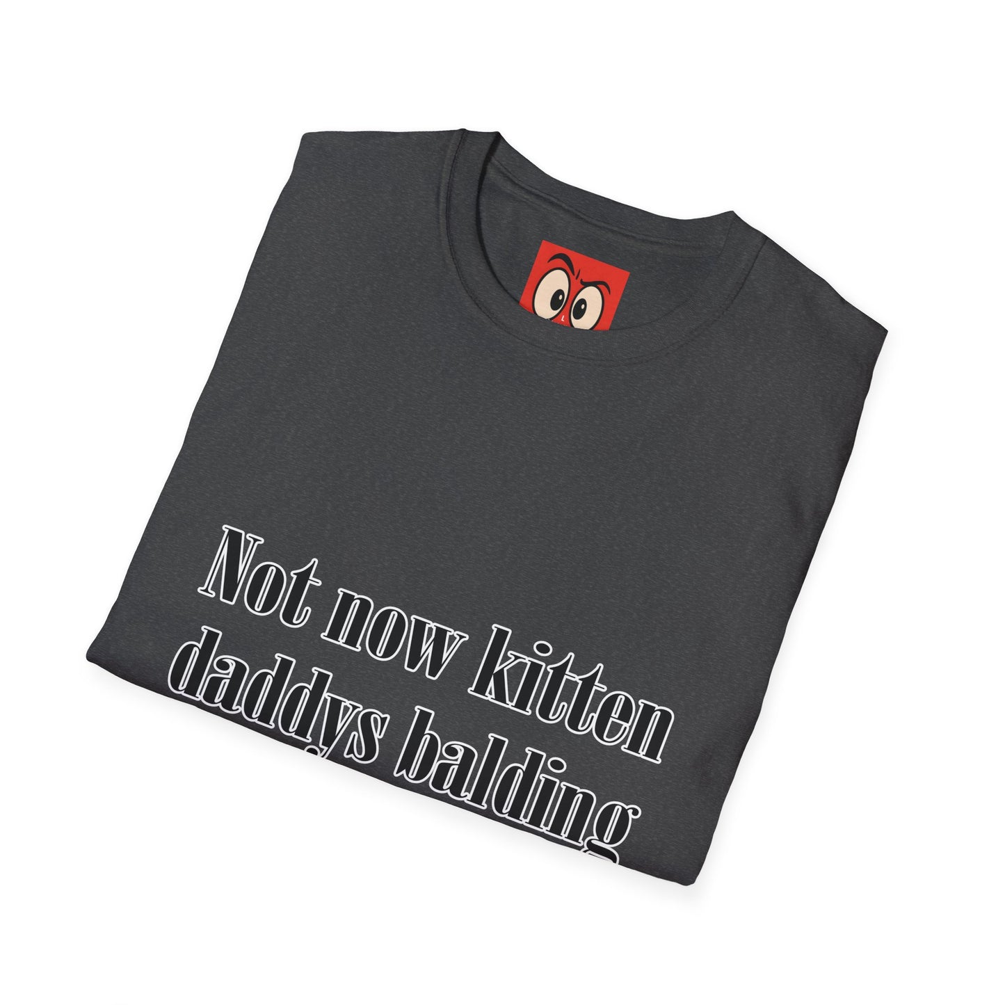 Not Now Kitten Daddy's Balding T-Shirt