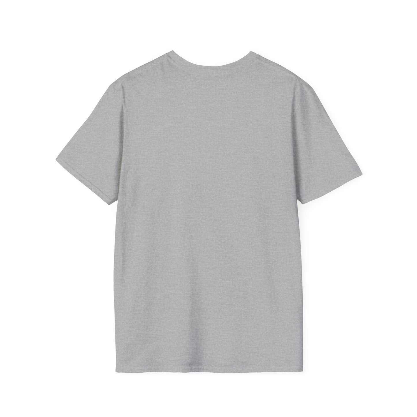 A Hug From A Bad Bih T-Shirt